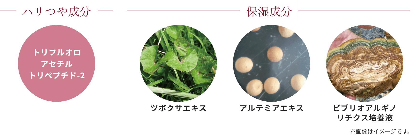 ハリつや成分と保湿成分